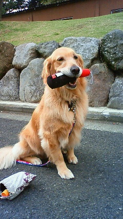 ファイル 2032-5.jpg