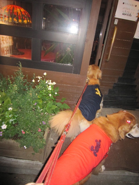 ファイル 2035-1.jpg