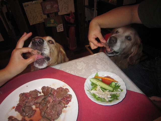 ファイル 2035-4.jpg