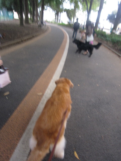 ファイル 2036-2.jpg