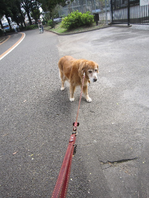 ファイル 2036-4.jpg