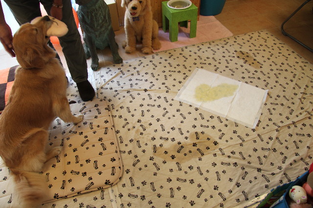 ファイル 2037-2.jpg