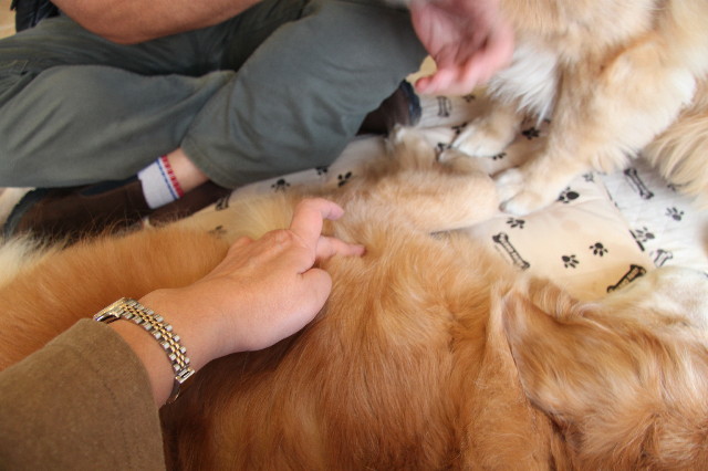 ファイル 2037-4.jpg