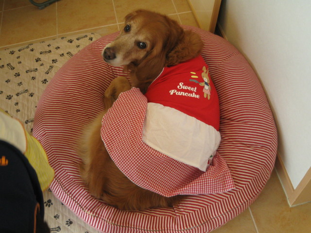 ファイル 204-3.jpg