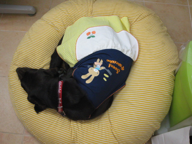 ファイル 204-4.jpg