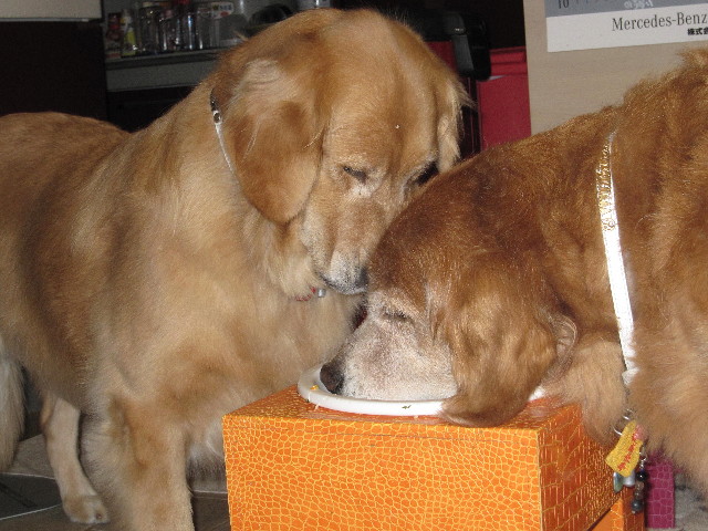 ファイル 2041-3.jpg