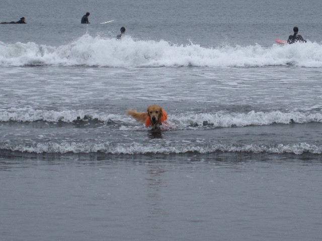 ファイル 2043-3.jpg