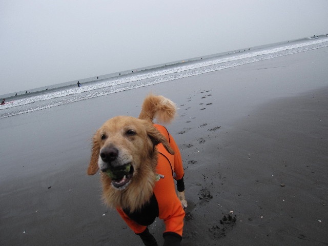 ファイル 2043-4.jpg