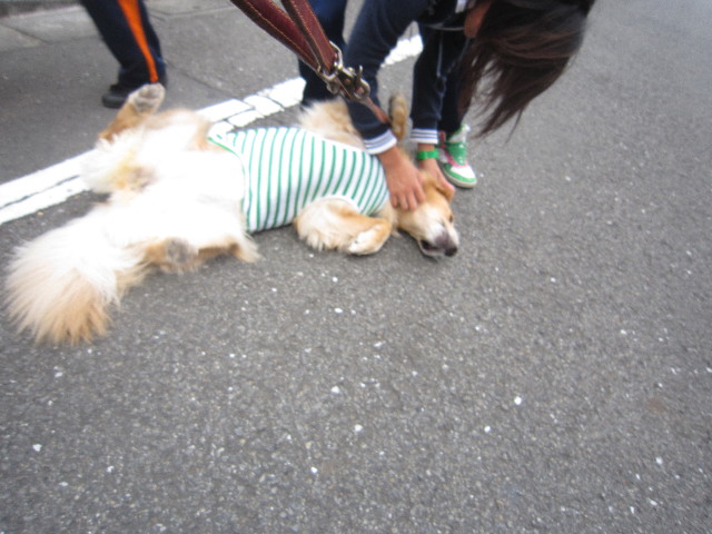 ファイル 2045-5.jpg