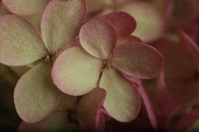 ファイル 2048-1.jpg