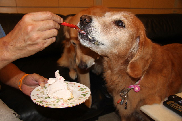 ファイル 2049-5.jpg