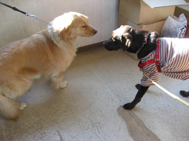 ファイル 205-1.jpg