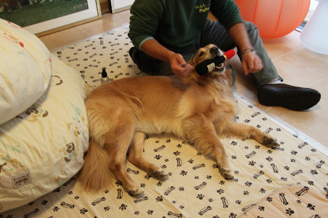 ファイル 2050-3.jpg