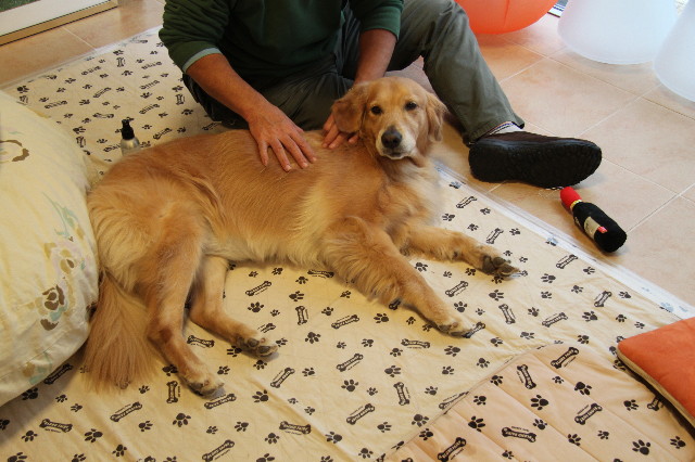 ファイル 2050-4.jpg