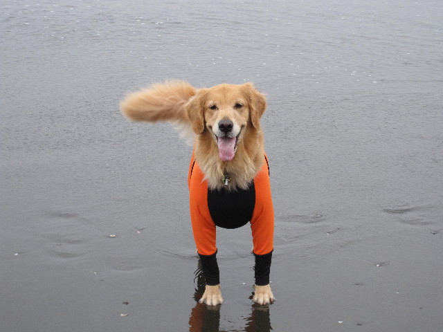 ファイル 2052-4.jpg