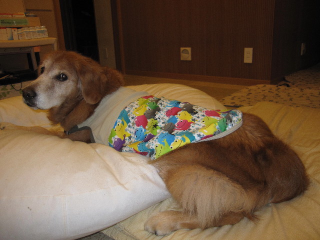 ファイル 2052-5.jpg