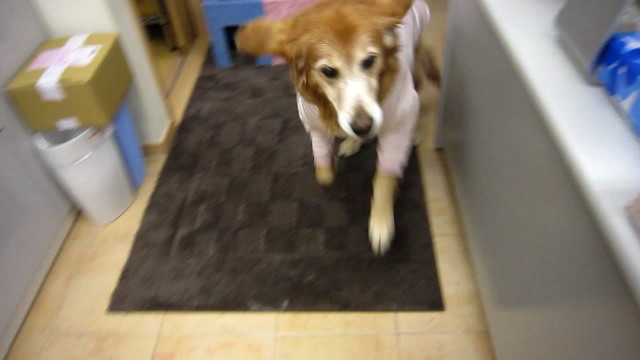 ファイル 2053-4.jpg