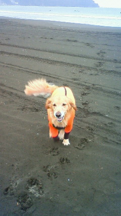 ファイル 2055-2.jpg