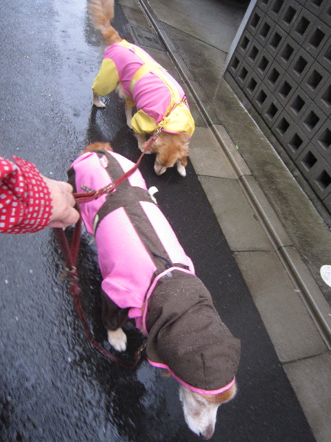 ファイル 2056-2.jpg