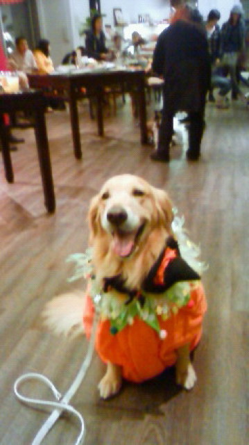 ファイル 2057-3.jpg