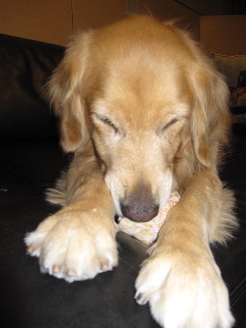 ファイル 2058-3.jpg