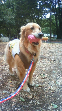 ファイル 2059-3.jpg