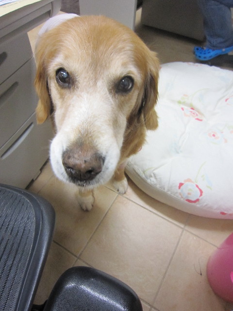 ファイル 2061-5.jpg