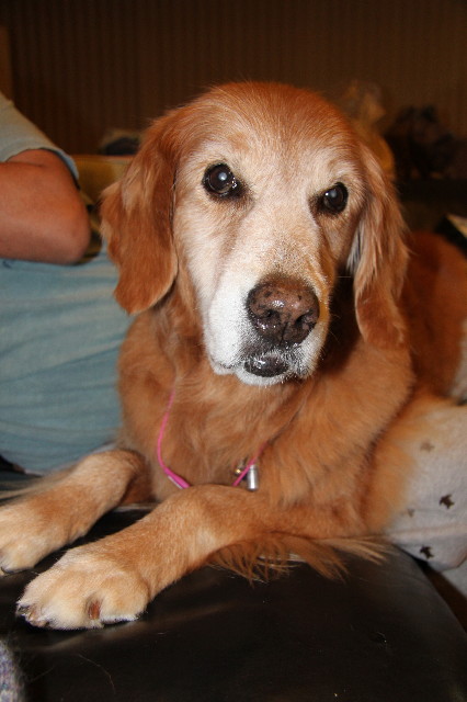 ファイル 2064-1.jpg