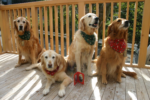 ファイル 2064-2.jpg