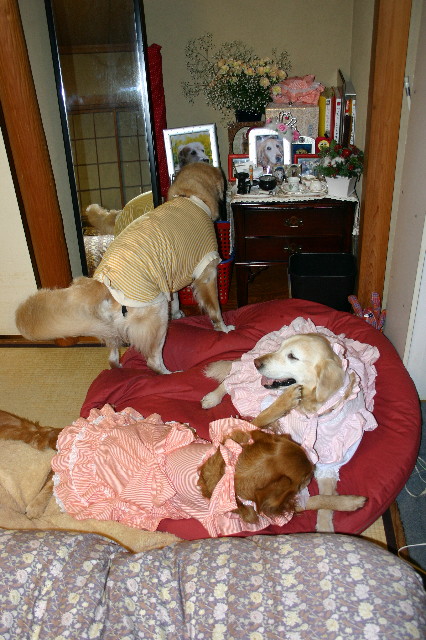 ファイル 2064-3.jpg