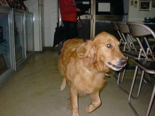 ファイル 2064-5.jpg