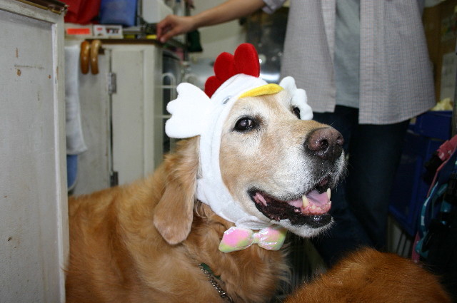 ファイル 2067-2.jpg