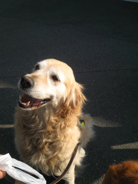 ファイル 207-1.jpg