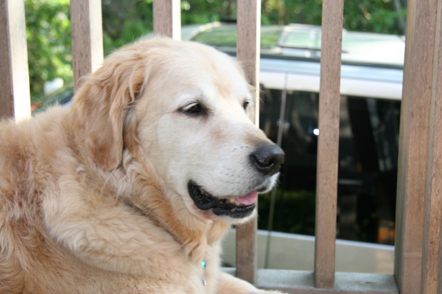 ファイル 207-4.jpg