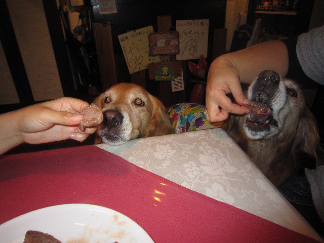 ファイル 2072-5.jpg