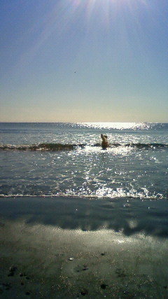 ファイル 2073-1.jpg