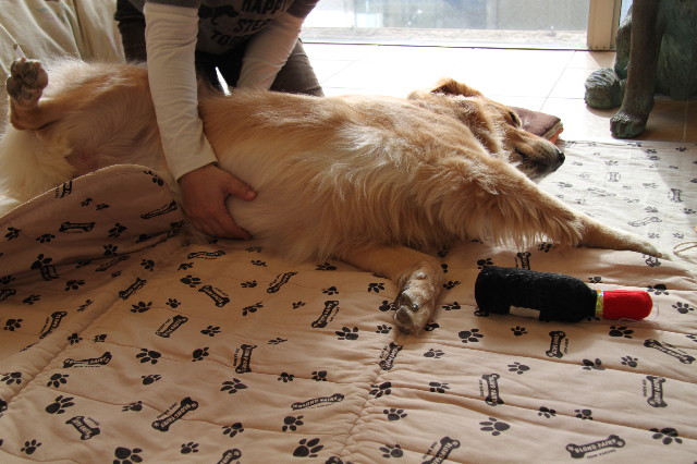 ファイル 2073-2.jpg