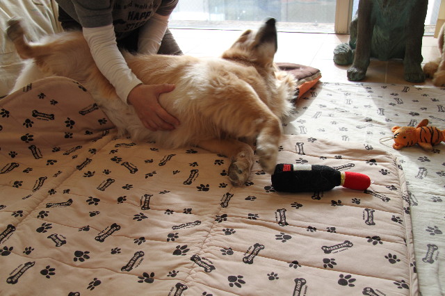 ファイル 2073-3.jpg