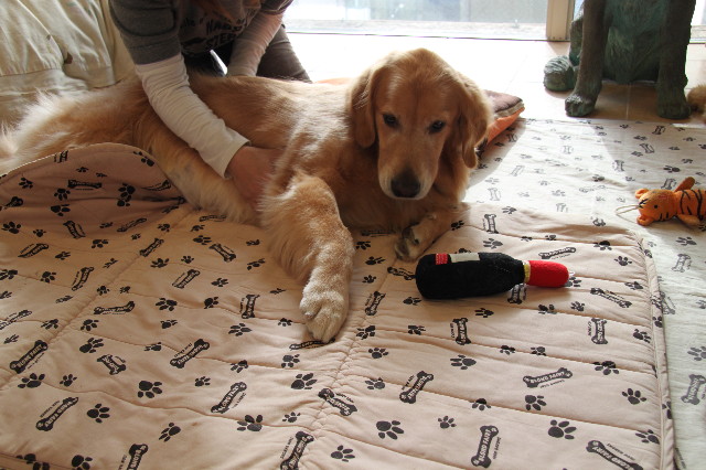 ファイル 2073-4.jpg