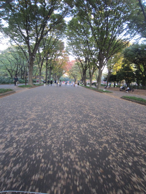 ファイル 2074-4.jpg