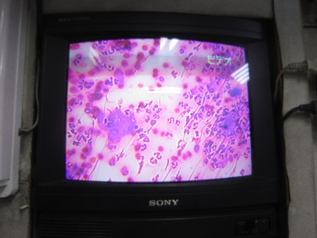 ファイル 2076-4.jpg