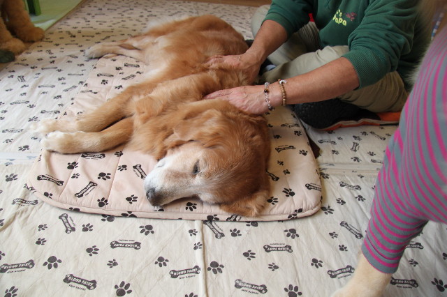 ファイル 2077-1.jpg