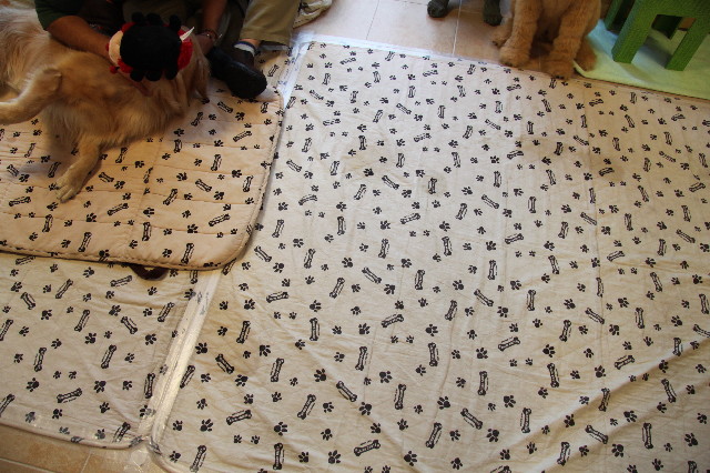 ファイル 2077-3.jpg