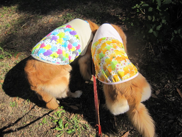 ファイル 2078-3.jpg