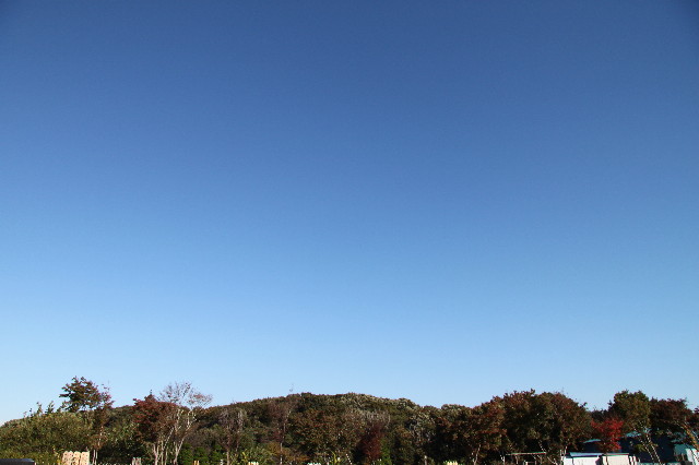 ファイル 2078-5.jpg