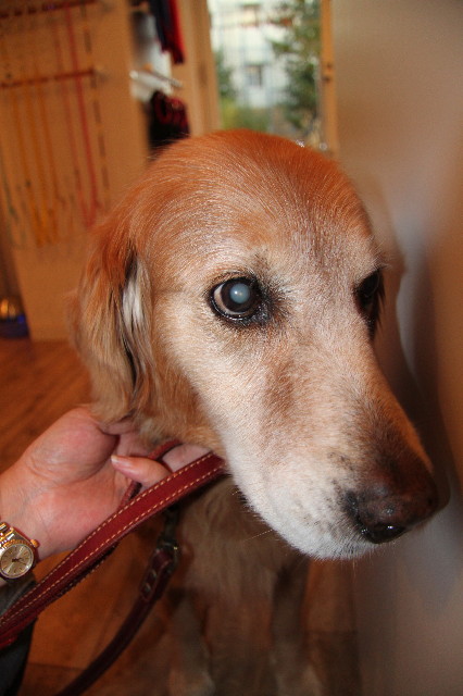 ファイル 2081-2.jpg