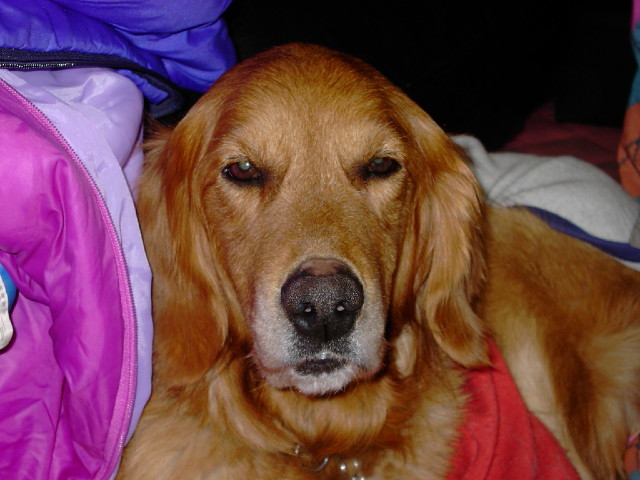 ファイル 2082-2.jpg