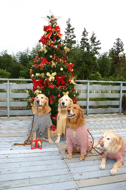 ファイル 2082-3.jpg