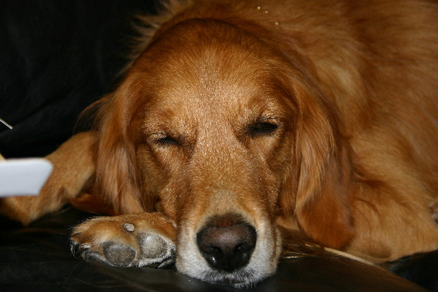 ファイル 2082-5.jpg