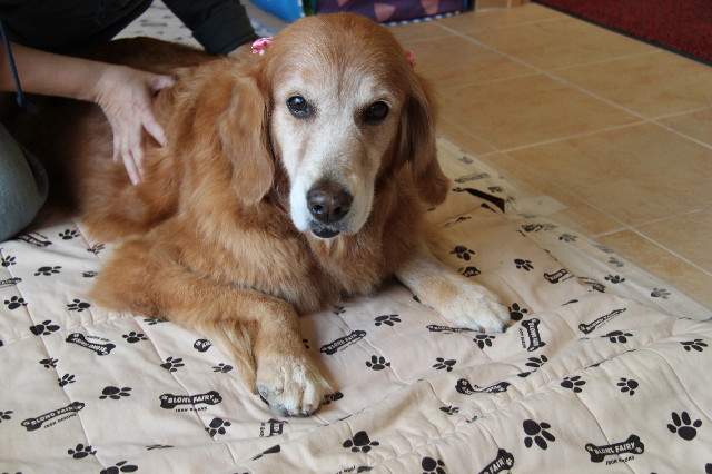 ファイル 2083-1.jpg